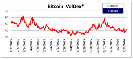 SP VolDex 1-11-2025